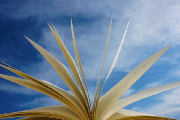 Otizm kitapları neler anlatıyor?