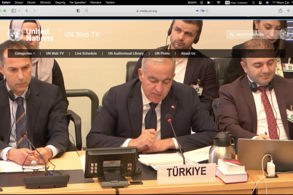 BM Çocuk Hakları Komitesi Türkiye için toplandı