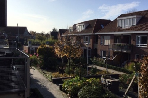 Hollanda’da engelli bireyler ve hakları